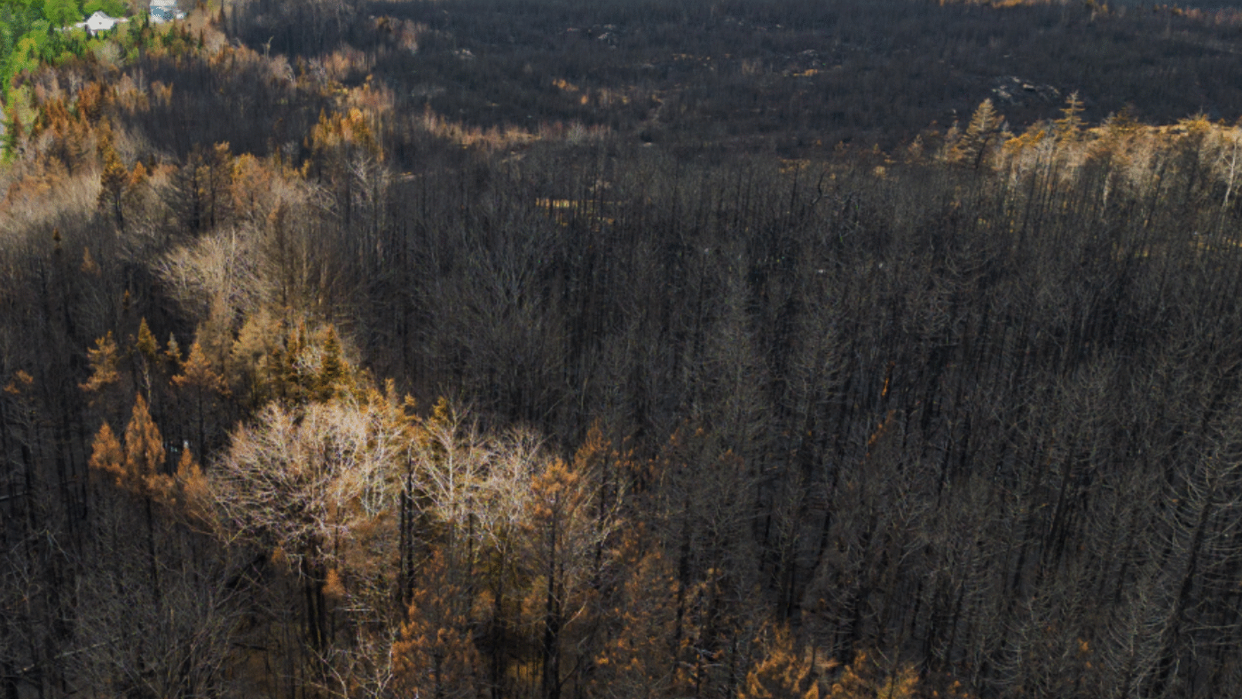 california-wildfire-investigation-vertex