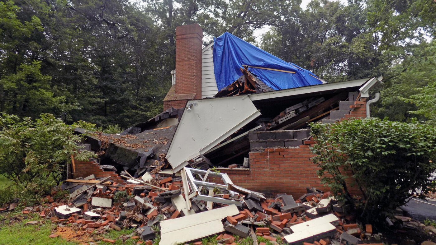 Tree Impact Claims Investigations