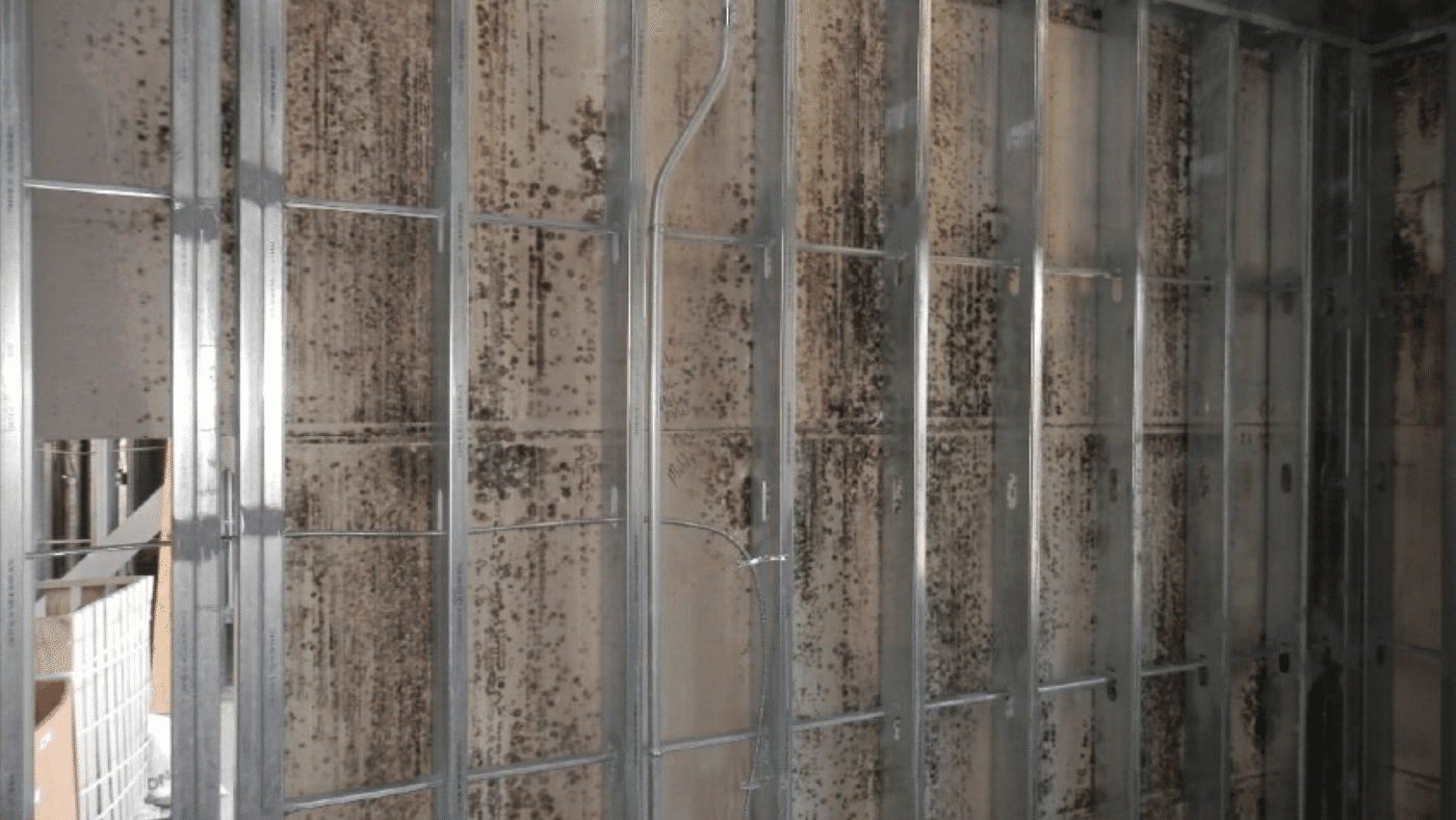 Mold Growth on Exterior Sheething