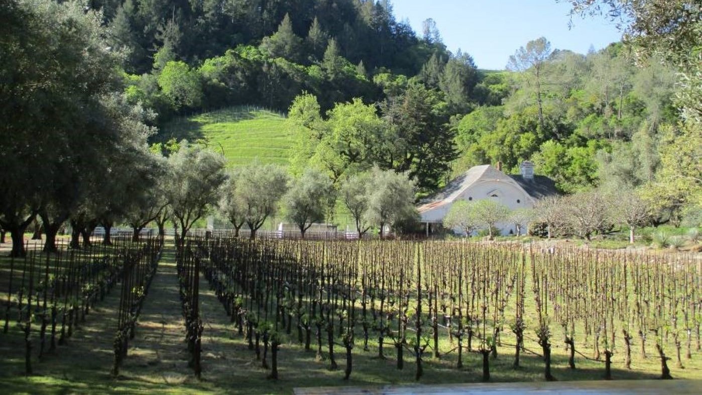 Vineyard & Winery Property