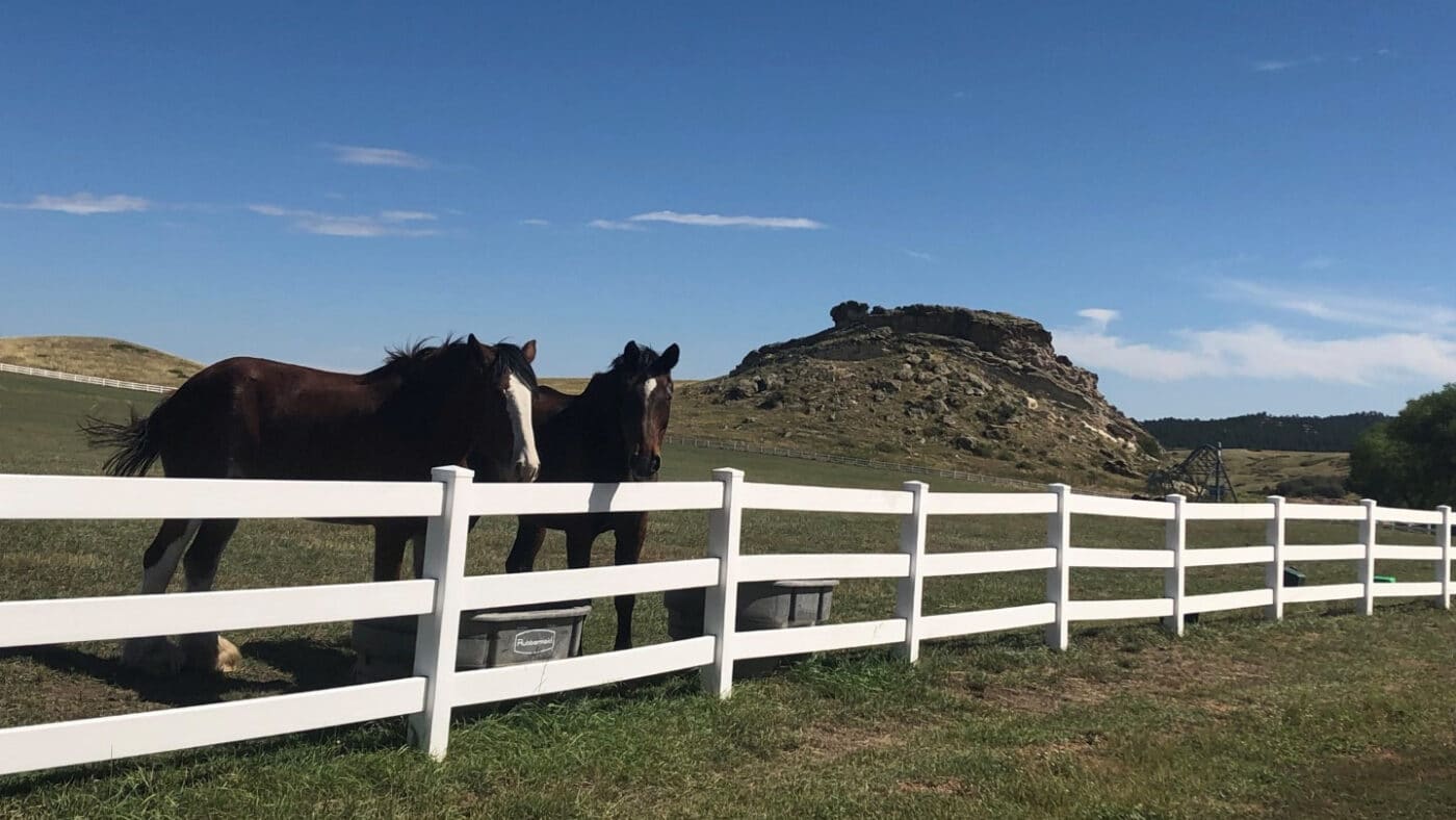 Ranch Property
