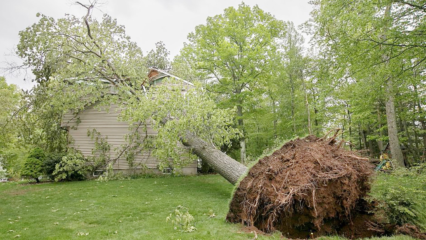 Connecticut Tornados