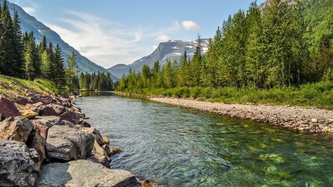 VERTEX Charitable Giving Committee Supports the Environment through OneTreePlanted.org
