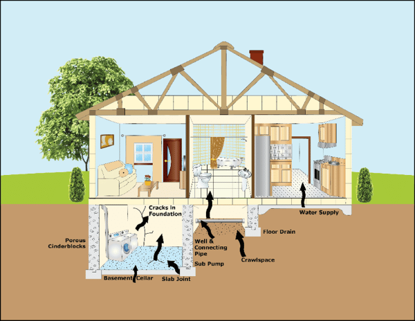 Radon In Residential And Commercial Properties Vertex 6901