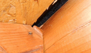 Ridge Board Vs. Ridge Beam