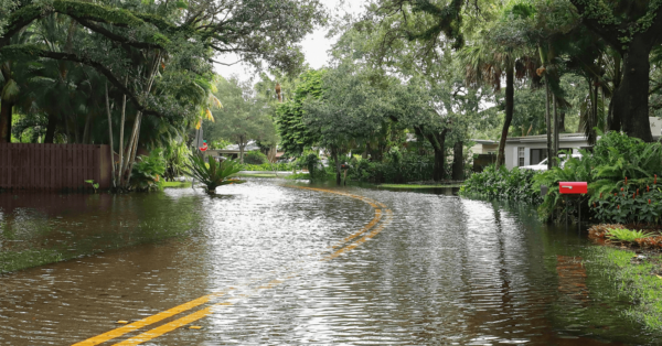 flooded street