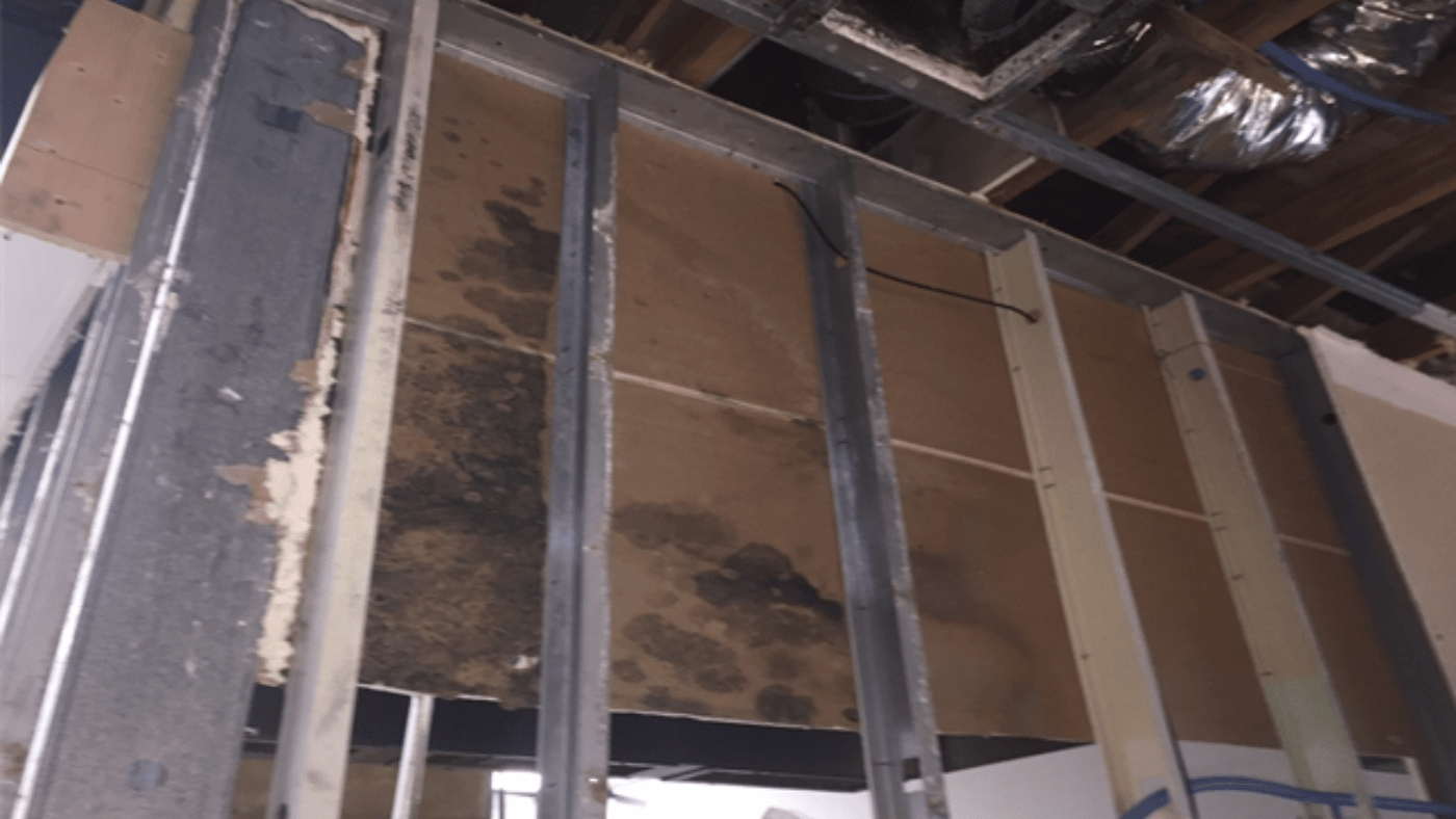 Mold and Water Damage Investigation