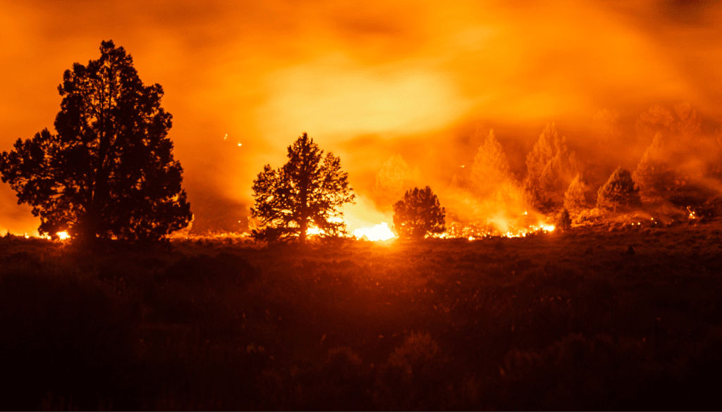 Fire Prevention & Recovery Services