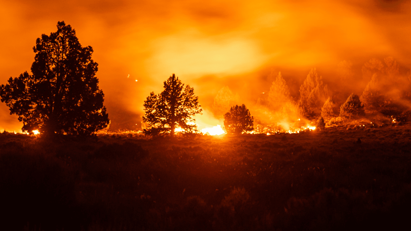 Rebuilding After the Northern California Wildfires