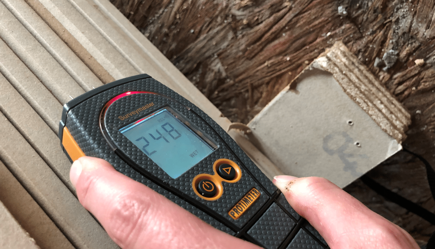 Moisture Meters for Mold Prevention