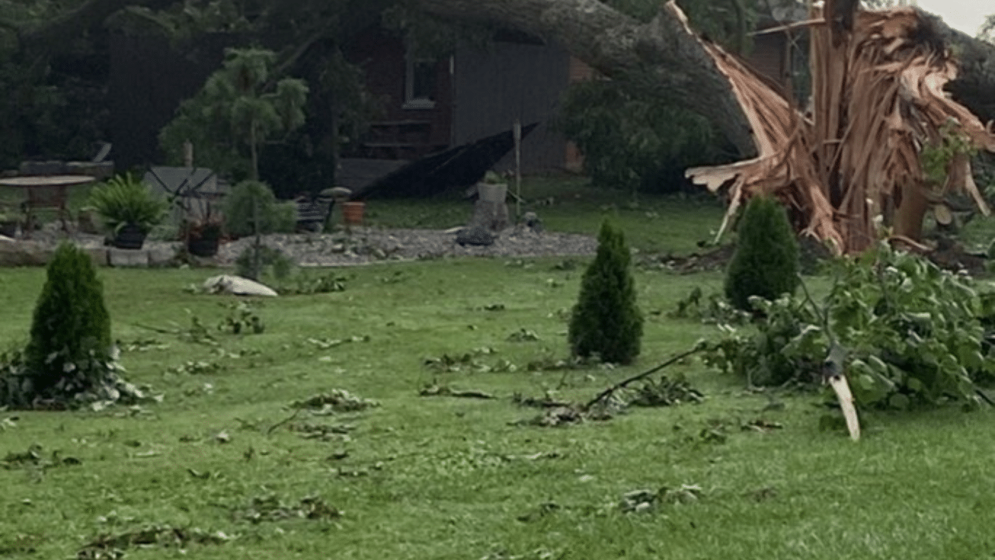 Tree Impact to Residential Structure