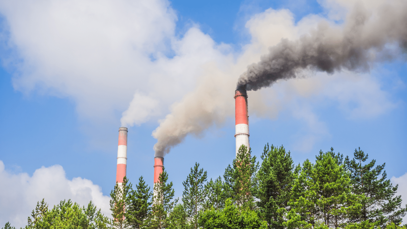 Lost Profits Claim Supported by VERTEX in Major Coal Industry Bankruptcy
