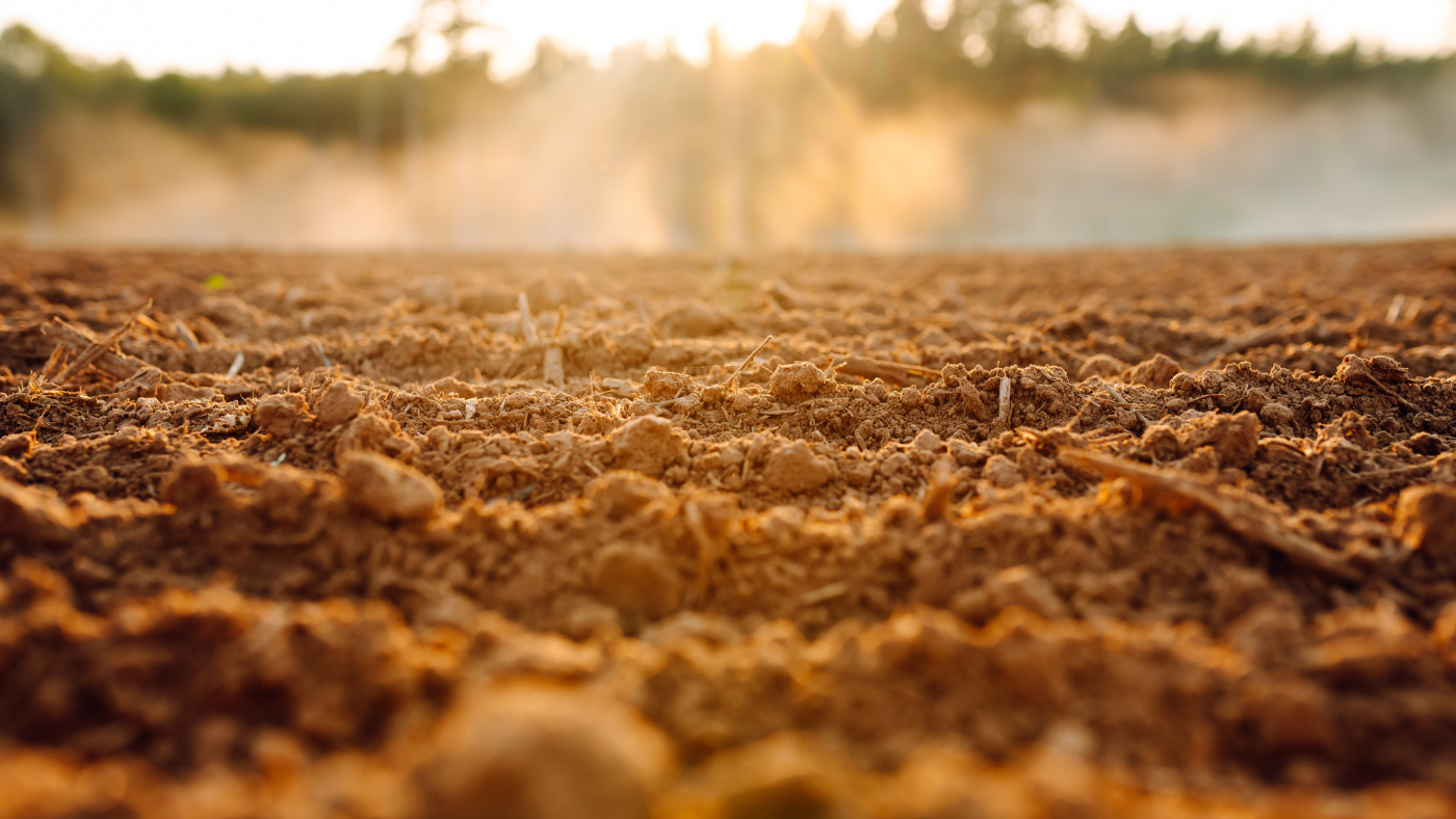 Thermal Remediation Technologies
