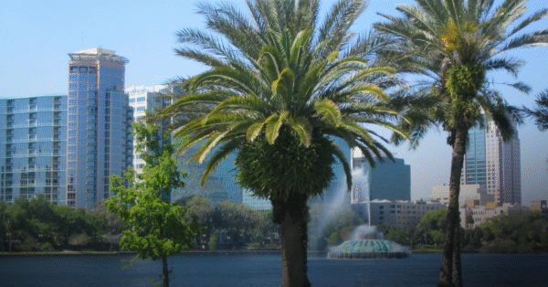 Orlando, Florida. palm tree hotel fountain vertex