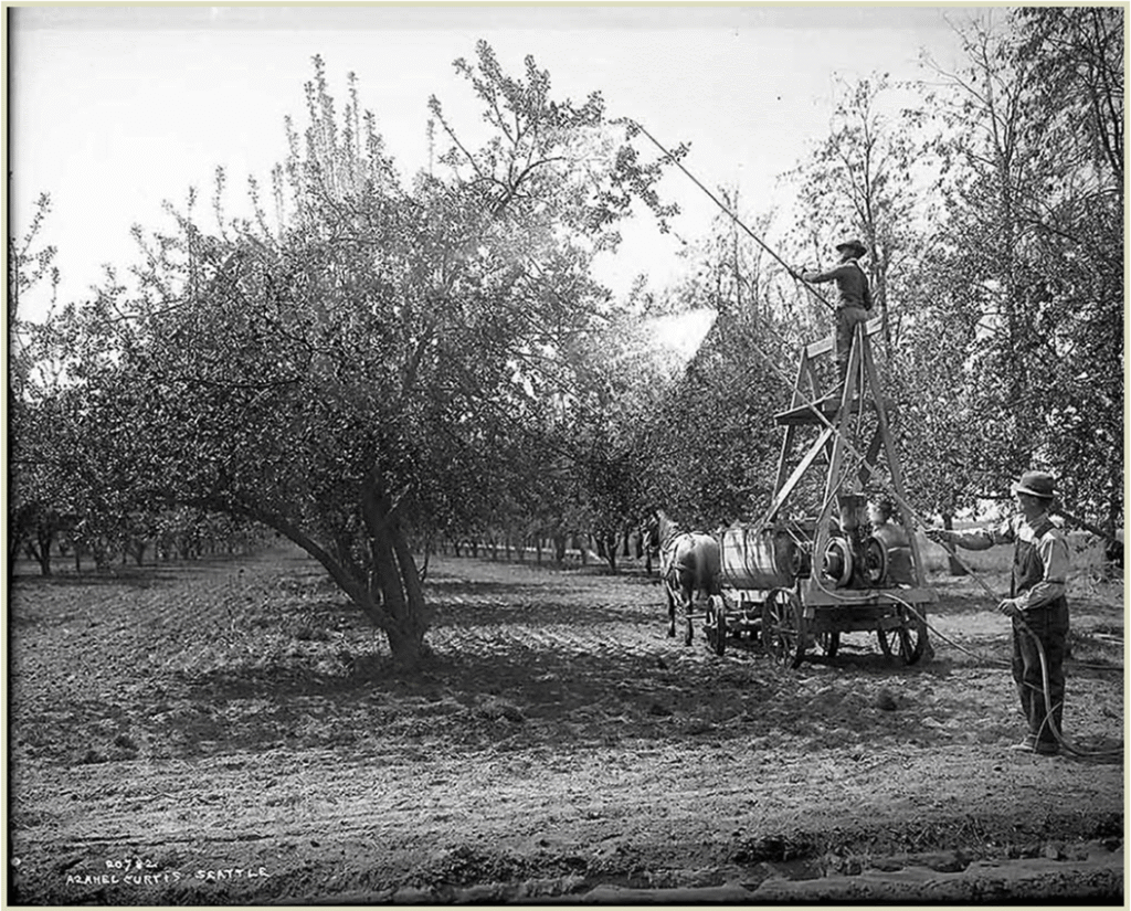 historical orchard Pesticide