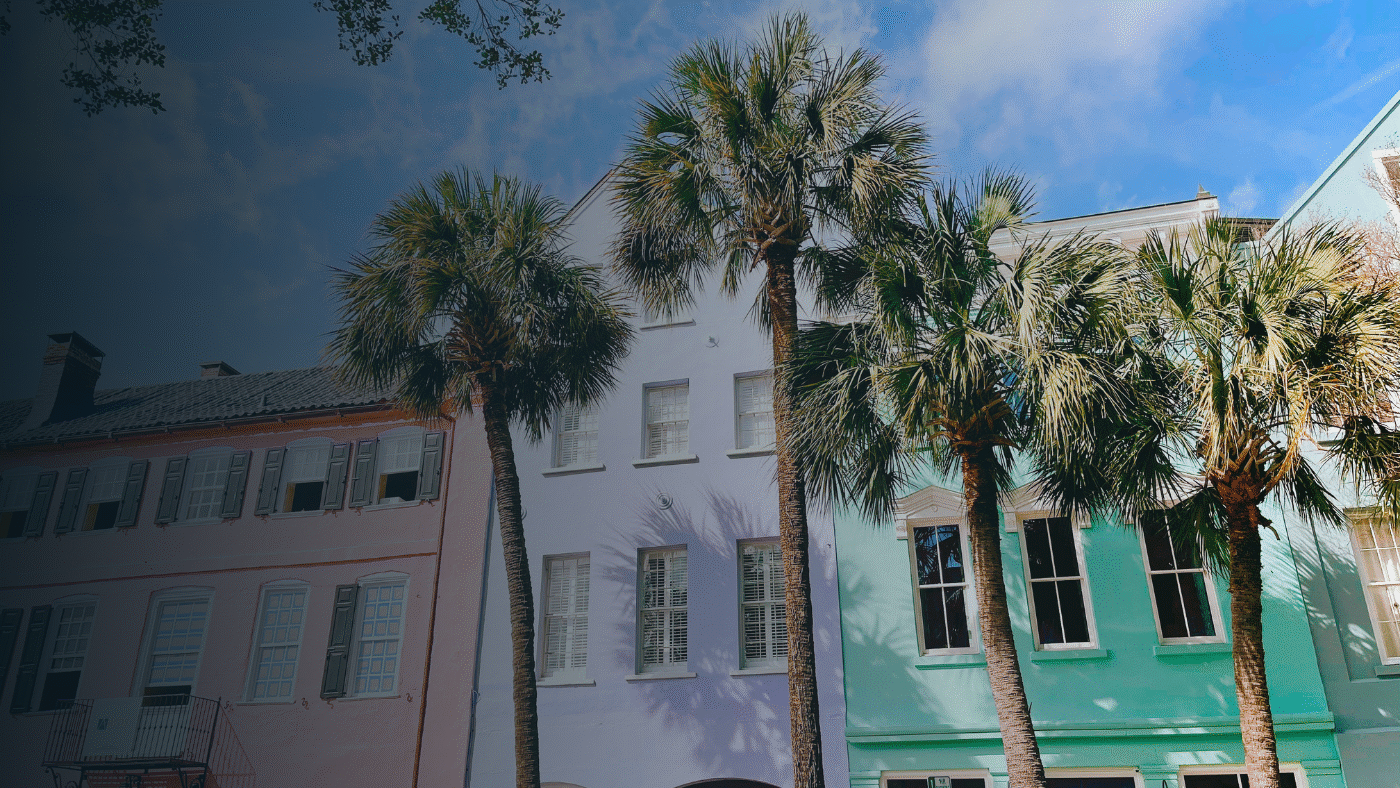 VERTEX - South Carolina by Tyrone Sanders - Stock Photos provided by Connor Chow 5.16.25
