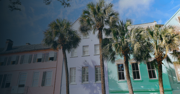 VERTEX - South Carolina by Tyrone Sanders - Stock Photos provided by Connor Chow 5.16.25