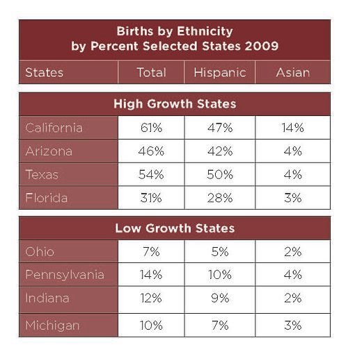 Births by Ethnicity