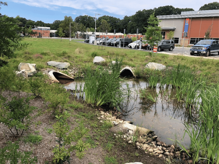 Best Management Practices (BMPs) In Stormwater Management | VERTEX