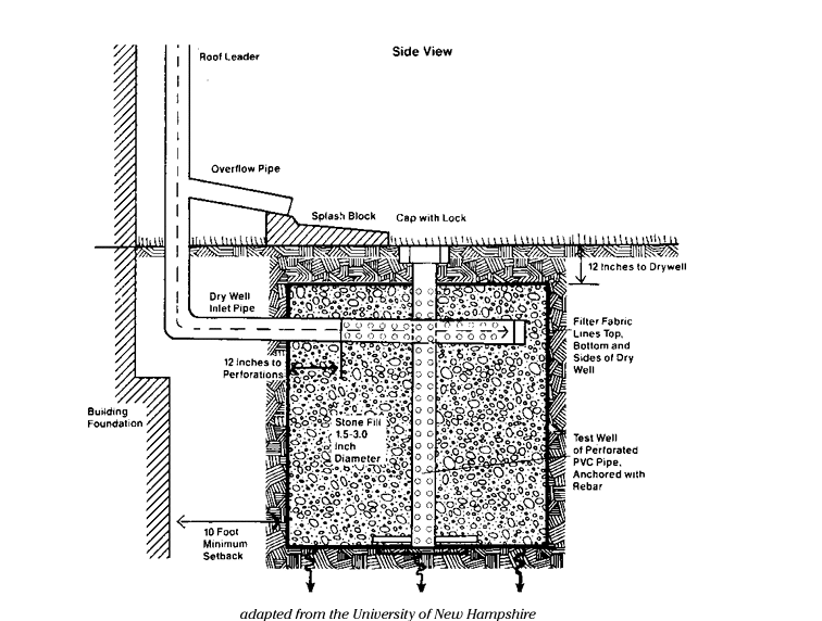 Best Management Practices (BMPs) In Stormwater Management | VERTEX