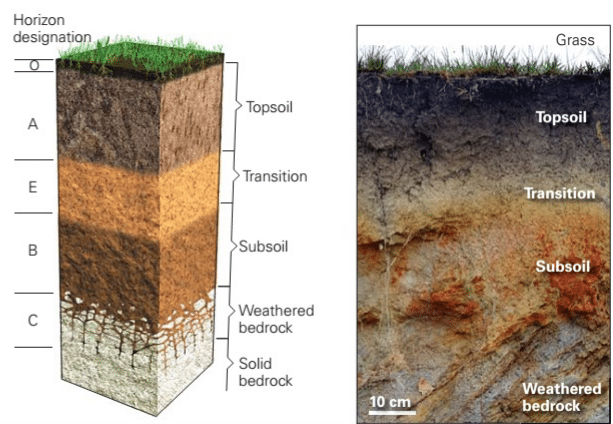 Mastering Earthwork: Key Considerations for Development Projects | VERTEX